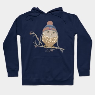 Winter owl Hoodie